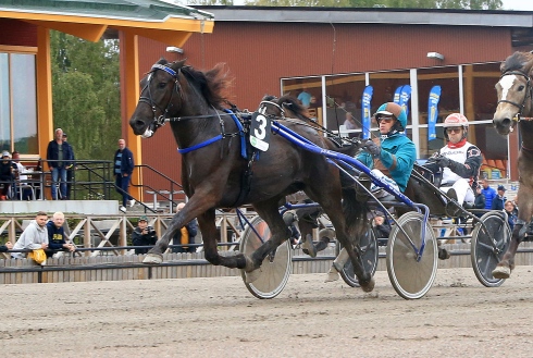 image (2)